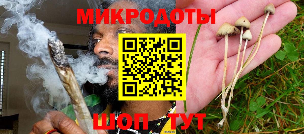 Галлюциногенные грибы мухоморы Старый Оскол